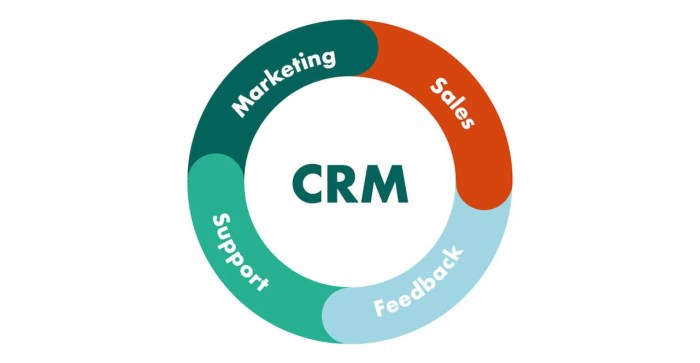 Using CRM Tools in Marketing